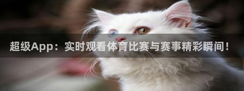 超级App：实时观看体育比赛与赛事精彩瞬间！