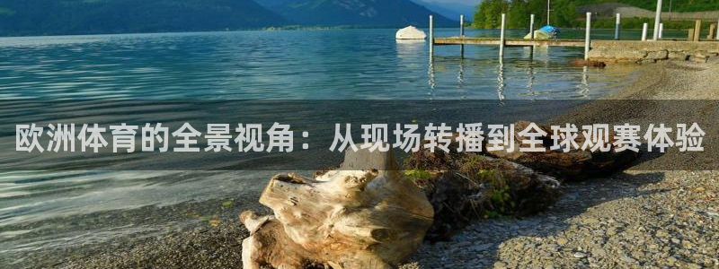 欧洲体育的全景视角：从现场转播到全球观赛体验