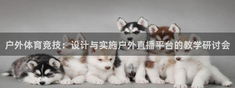 户外体育竞技：设计与实施户外直播平台的教学研讨会