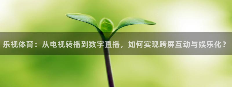 乐视体育：从电视转播到数字直播，如何实现跨屏互动与娱乐化？
