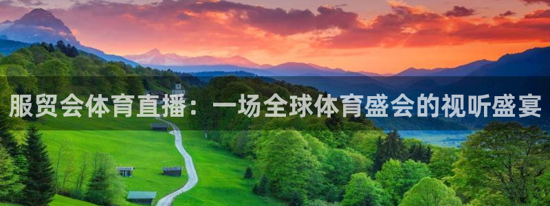服贸会体育直播：一场全球体育盛会的视听盛宴