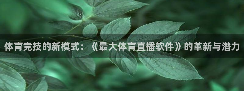 体育竞技的新模式：《最大体育直播软件》的革新与潜力