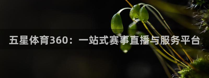 五星体育360：一站式赛事直播与服务平台