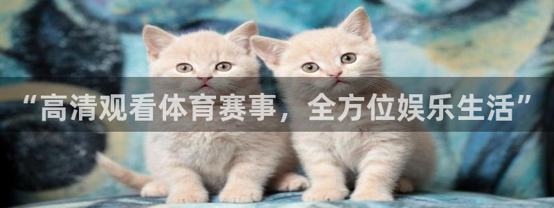“高清观看体育赛事，全方位娱乐生活”