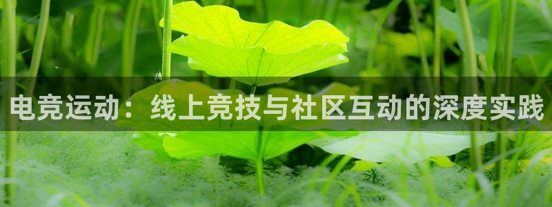 电竞运动：线上竞技与社区互动的深度实践