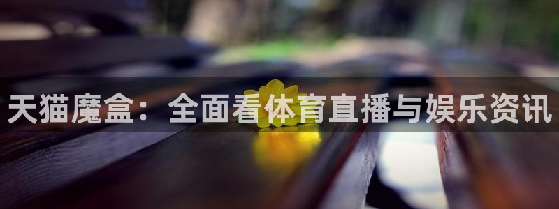 天猫魔盒：全面看体育直播与娱乐资讯