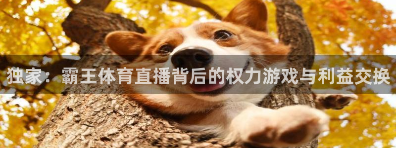 独家：霸王体育直播背后的权力游戏与利益交换