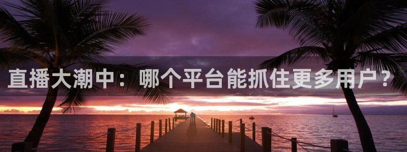 直播大潮中：哪个平台能抓住更多用户？