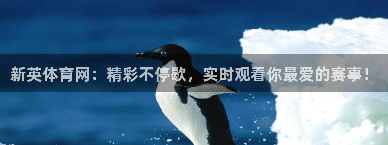 新英体育网：精彩不停歇，实时观看你最爱的赛事！