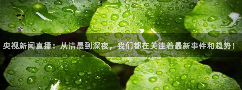 央视新闻直播：从清晨到深夜，我们都在关注着最新事件和趋势！