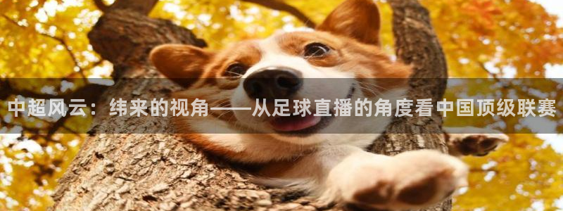 中超风云：纬来的视角——从足球直播的角度看中国顶级联赛