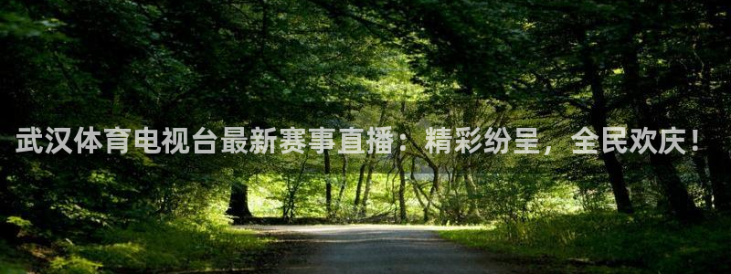 武汉体育电视台最新赛事直播：精彩纷呈，全民欢庆！