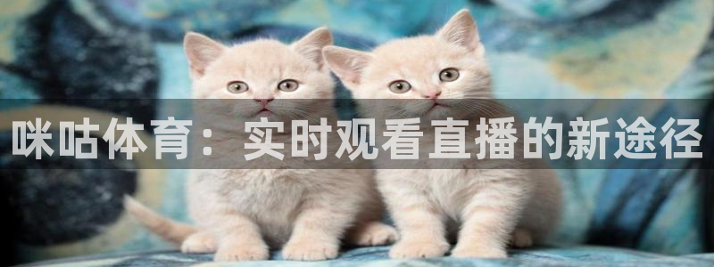 咪咕体育：实时观看直播的新途径
