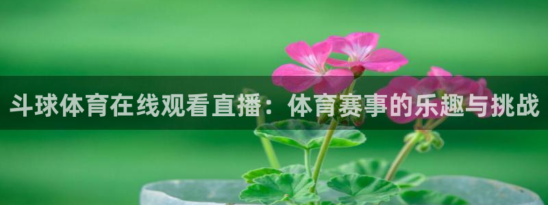 斗球体育在线观看直播：体育赛事的乐趣与挑战
