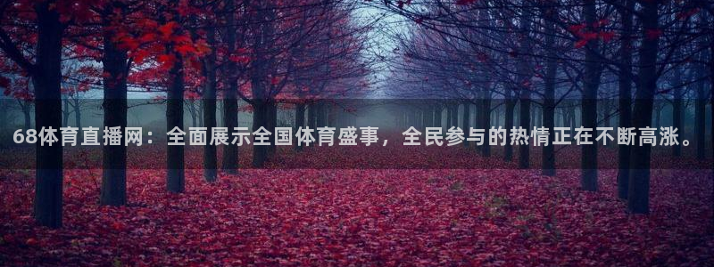 68体育直播网：全面展示全国体育盛事，全民参与的热情正在不断高涨。