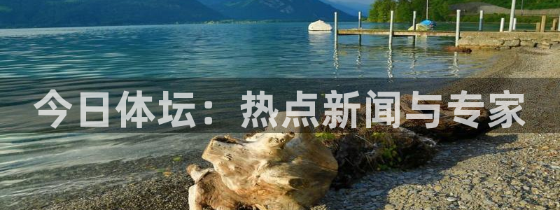 今日体坛：热点新闻与专家