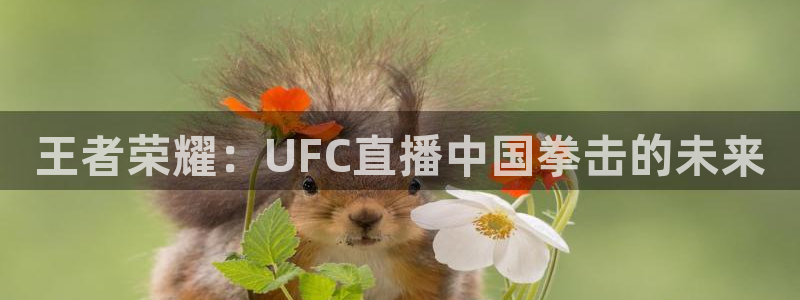 王者荣耀：UFC直播中国拳击的未来