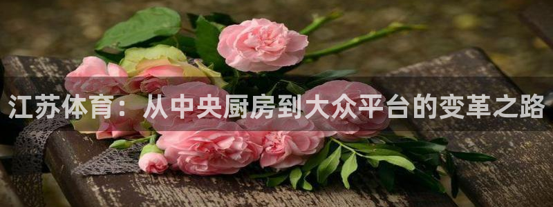 江苏体育：从中央厨房到大众平台的变革之路