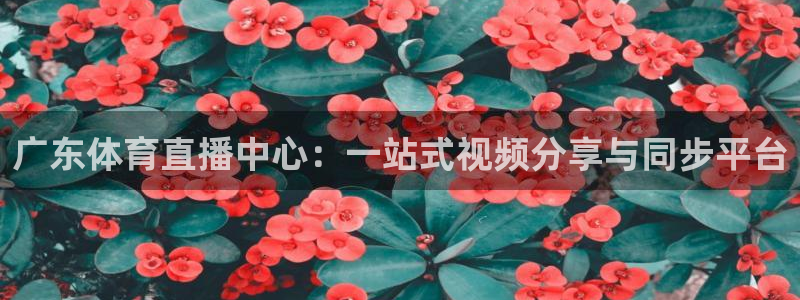 广东体育直播中心：一站式视频分享与同步平台