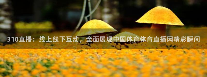 310直播：线上线下互动，全面展现中国体育体育直播网精彩瞬间