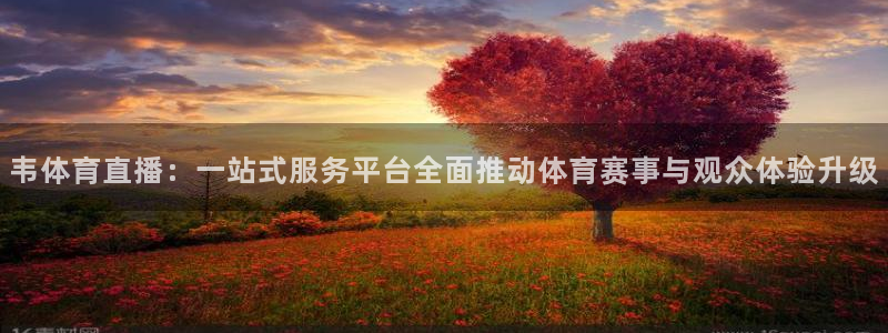 韦体育直播：一站式服务平台全面推动体育赛事与观众体验升级