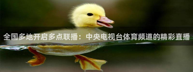 全国多地开启多点联播：中央电视台体育频道的精彩直播