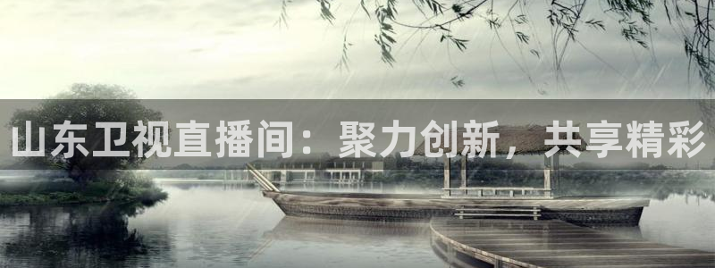 山东卫视直播间：聚力创新，共享精彩