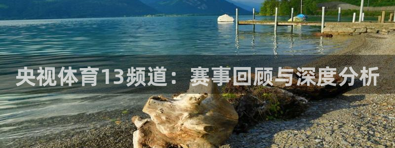 央视体育13频道：赛事回顾与深度分析