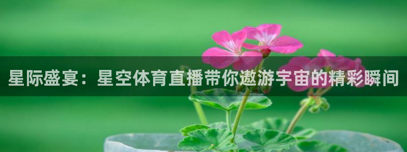 星际盛宴：星空体育直播带你遨游宇宙的精彩瞬间