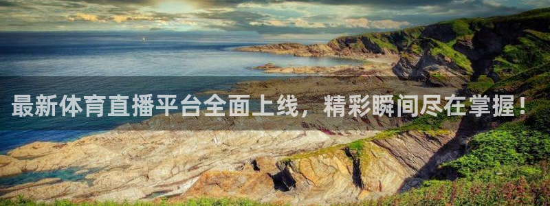 最新体育直播平台全面上线，精彩瞬间尽在掌握！